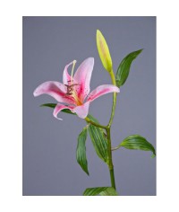 Лилия ветвь нежно-розовая