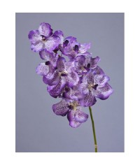 Орхидея Ванда белая с фиолетовыми прожилками