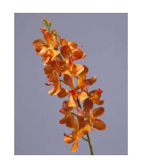 Орхидея Дендробиум золотисто-оранжевая