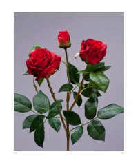 Роза Флорибунда Мидл ветвь рубиново-красная