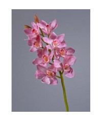 Орхидея Цимбидиум розовая ветвь средняя