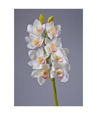 Орхидея Цимбидиум белая ветвь средняя