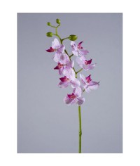 Орхидея Фаленопсис Элегант белая с сирен.крапинами